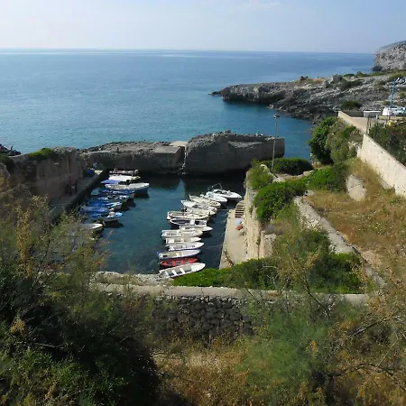 Gelsomino